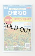 送料無料　花の種　ひまわり　ビューティフルサン　約7平米用　(株)サカタのタネ　実咲350（026179）
