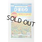 送料無料　花の種　ひまわり　ビューティフルサン　約7平米用　(株)サカタのタネ　実咲350（026179）