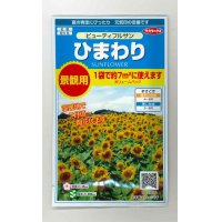 花の種　ひまわり　ビューティフルサン　約７平米用　 サカタのタネ（株）実咲350