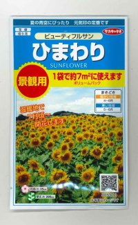 花の種　ひまわり　ビューティフルサン　約７平米用　 サカタのタネ（株）実咲350