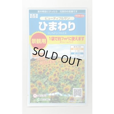画像1: 送料無料　花の種　ひまわり　ビューティフルサン　約7平米用　(株)サカタのタネ　実咲350（026179）