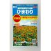 画像1: 花の種　ひまわり　ビューティフルサン　約７平米用　 サカタのタネ（株）実咲350 (1)