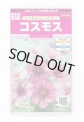 送料無料　花の種　コスモス　レッドイリュージョン　約29粒　(株)サカタのタネ　実咲350（026110）