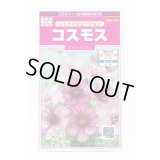 送料無料　花の種　コスモス　レッドイリュージョン　約29粒　(株)サカタのタネ　実咲350（026110）