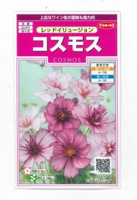 花の種　コスモス　レッドイリュージョン　約29粒　  サカタのタネ（株）　実咲350