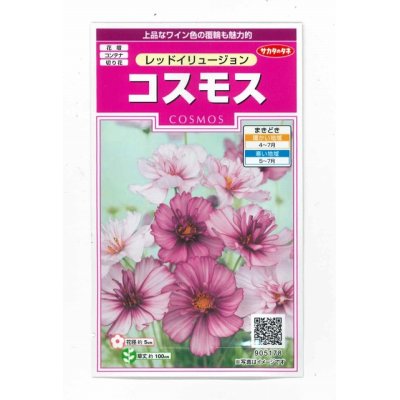 画像1: 花の種　コスモス　レッドイリュージョン　約29粒　  サカタのタネ（株）　実咲350