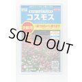送料無料　花の種　景観用コスモス　センセーションミックス　(株)サカタのタネ　実咲350（026176）
