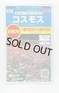 送料無料　花の種　景観用コスモス　センセーションミックス　(株)サカタのタネ　実咲350（026176）