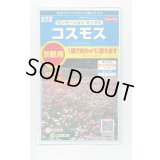 送料無料　花の種　景観用コスモス　センセーションミックス　(株)サカタのタネ　実咲350（026176）