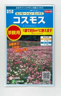 花の種　景観用コスモス　センセーションミックス　  サカタのタネ（株）　実咲350