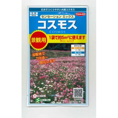 画像1: 花の種　景観用コスモス　センセーションミックス　  サカタのタネ（株）　実咲350