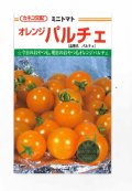 送料無料　[トマト/ミニトマト]　オレンジパルチェ　1000粒　カネコ交配