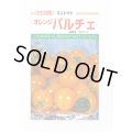 送料無料　[トマト/ミニトマト]　オレンジパルチェ　1000粒　カネコ種苗（株）