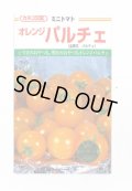 送料無料　[トマト/ミニトマト]　オレンジパルチェ　1000粒　カネコ種苗（株）
