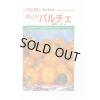 送料無料　[トマト/ミニトマト]　オレンジパルチェ　1000粒　カネコ種苗（株）