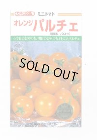 送料無料　[トマト/ミニトマト]　オレンジパルチェ　1000粒　カネコ種苗（株）