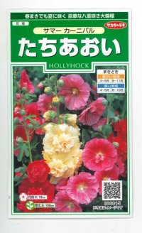 花の種　たちあおい　ホリホック　サマーカーニバル  約25粒　サカタのタネ（株）実咲250