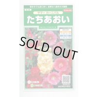 送料無料　花の種　たちあおい　サマーカーニバル　約25粒　　(株)サカタのタネ　実咲250（026292）