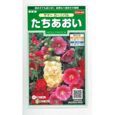 画像1: 花の種　たちあおい　ホリホック　サマーカーニバル  約25粒　サカタのタネ（株）実咲250