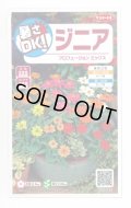 送料無料　花の種　ジニア　プロフュージョンミックス　約15粒　(株)サカタのタネ　実咲350（026153）