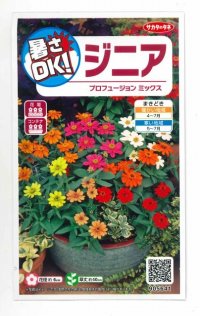 花の種　ジニア　プロフュージョンミックス　約15粒　　サカタのタネ（株）実咲350