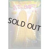 送料無料　[とうもろこし]　ミルキースイーツ84FT　200粒　トキタ種苗(株)