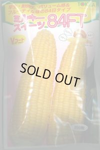 送料無料　[とうもろこし]　ミルキースイーツ84FT　200粒　トキタ種苗(株)