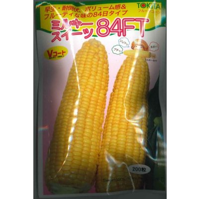 画像1: 送料無料　[とうもろこし]　ミルキースイーツ84FT　200粒　トキタ種苗(株)