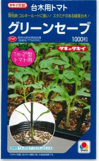 送料無料　[台木/トマト用]　グリーンセーブ　1000粒　タキイ種苗(株)