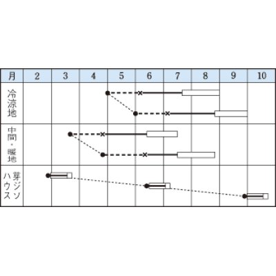 画像2: [葉物]　赤ちりめんシソ　9ml　タキイ種苗　MF