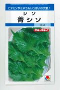 送料無料　[葉物]　青シソ　9ml　タキイ種苗　MF