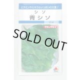 送料無料　[葉物]　青シソ　9ml　タキイ種苗　MF