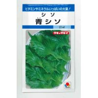 [葉物]　青シソ　9ｍｌ　タキイ種苗　MF