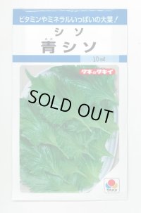 送料無料　[葉物]　青シソ　9ml　タキイ種苗　MF