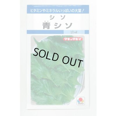 画像1: 送料無料　青シソ　9ml　タキイ種苗　MF