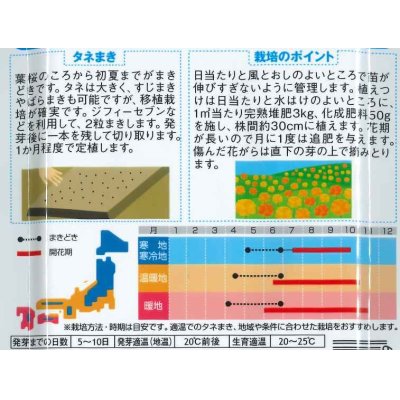 画像2: 花の種　マリーゴールド　アフリカントール　約3平米用　   サカタのタネ（株）実咲350