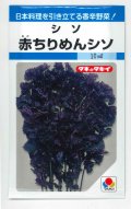 送料無料　[葉物]　赤ちりめんシソ　9ml　タキイ種苗　MF