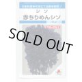 送料無料　[葉物]　赤ちりめんシソ　9ml　タキイ種苗　MF