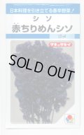 送料無料　[葉物]　赤ちりめんシソ　9ml　タキイ種苗　MF