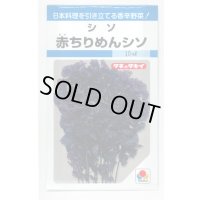 送料無料　[葉物]　赤ちりめんシソ　9ml　タキイ種苗　MF