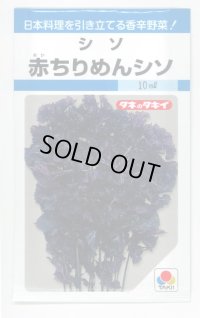 送料無料　[葉物]　赤ちりめんシソ　9ml　タキイ種苗　MF