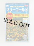 送料無料　花の種　マリーゴールド　アフリカントール　約3平米用　(株)サカタのタネ　実咲350（026180）