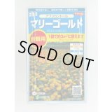 送料無料　花の種　マリーゴールド　アフリカントール　約3平米用　(株)サカタのタネ　実咲350（026180）
