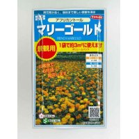 [花種/小袋]　マリーゴールド　アフリカントール　約3平米用　   サカタのタネ