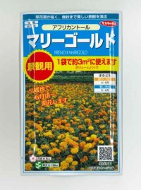 花の種　マリーゴールド　アフリカントール　約3平米用　   サカタのタネ（株）実咲350