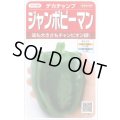 送料無料　[ピーマン]　ジャンボピーマン　デカチャンプ　約40粒　(株)サカタのタネ　実咲550（002903）