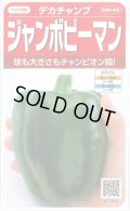 送料無料　[ピーマン]　ジャンボピーマン　デカチャンプ　約40粒　(株)サカタのタネ　実咲550（002903）