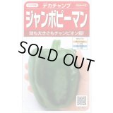 送料無料　[ピーマン]　ジャンボピーマン　デカチャンプ　約40粒　(株)サカタのタネ　実咲550（002903）