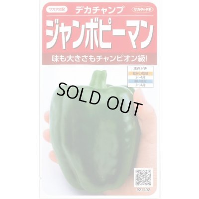 画像1: 送料無料　[ピーマン]　ジャンボピーマン　デカチャンプ　約40粒　(株)サカタのタネ　実咲550（002903）