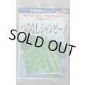 送料無料　[いんげん]　インゲン　つるなしジャンビーノ　1dl　(株)サカタのタネ
